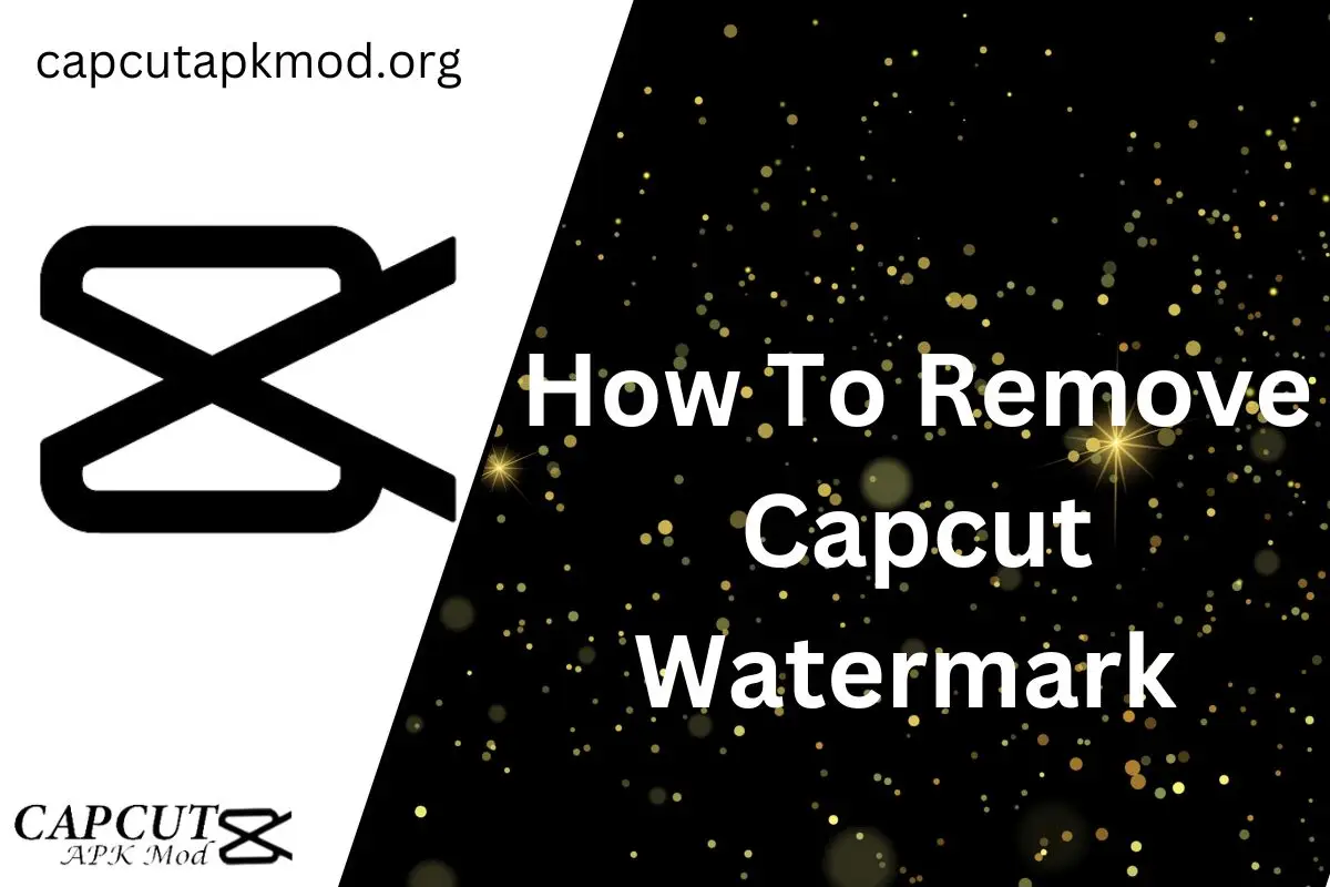 Remove Capcut Watermark